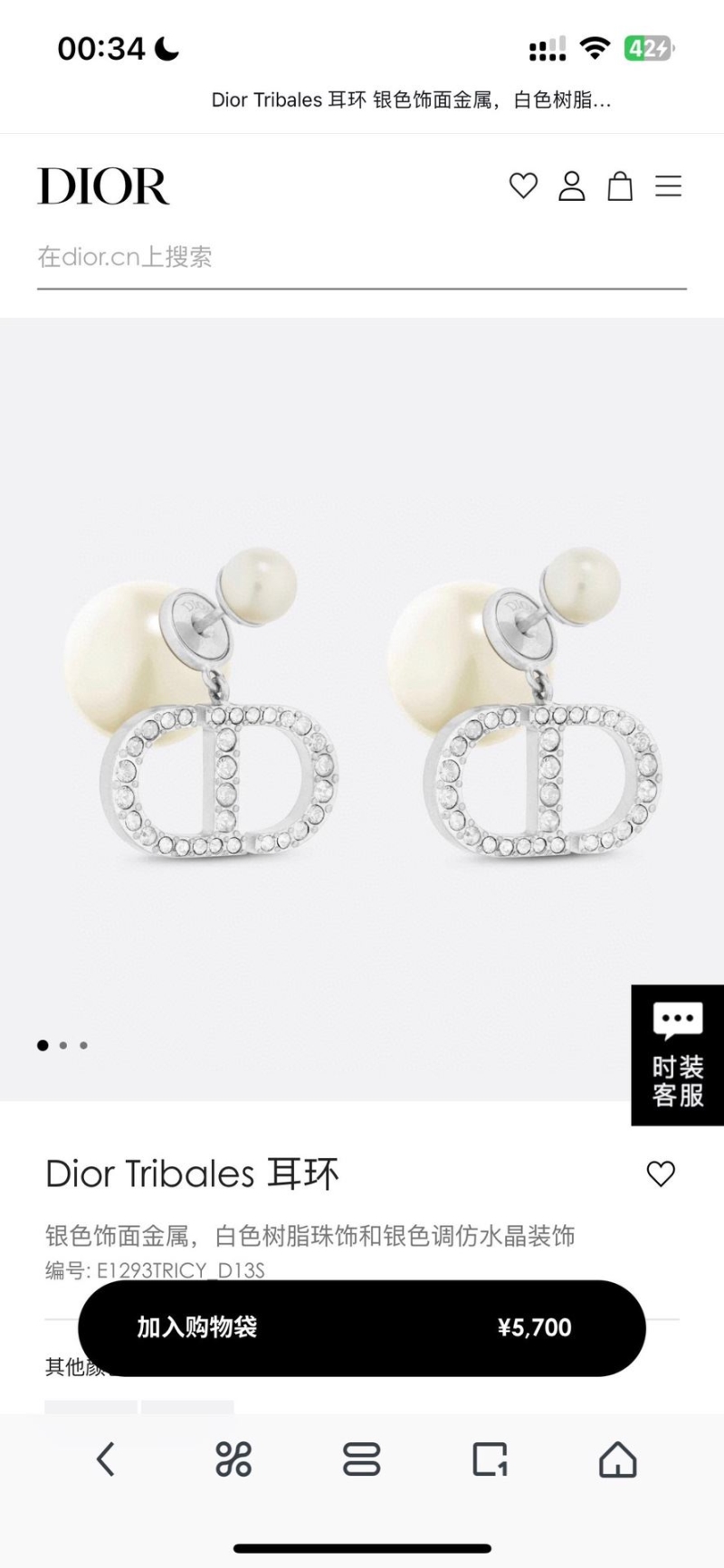 Christian Dior Earrings